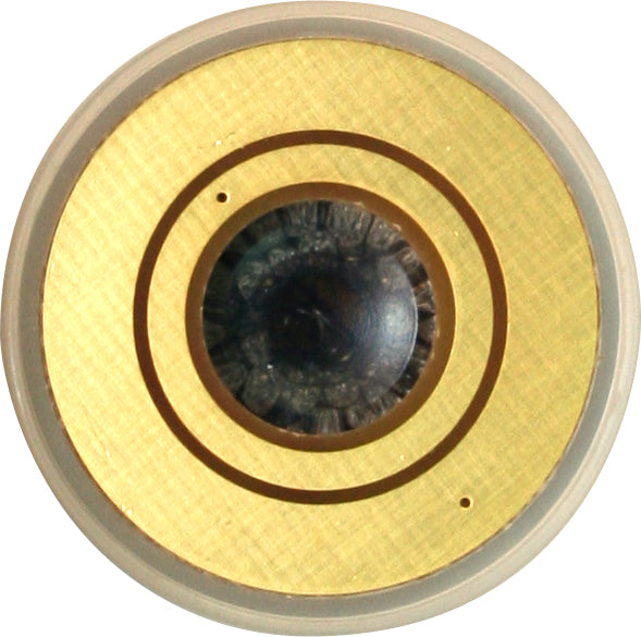 R-43V Oxygen Sensor